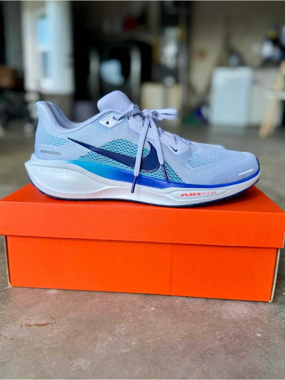 Nike Air Zoom Pegasus 41